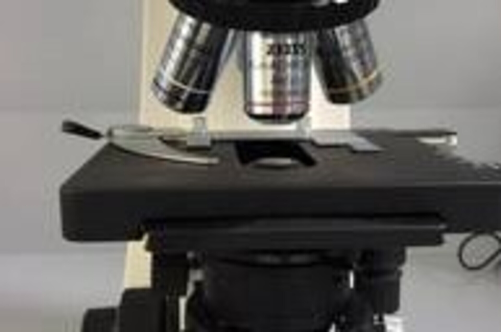 
                                                Lebensmittelmikrobiologie Labor 
                                            