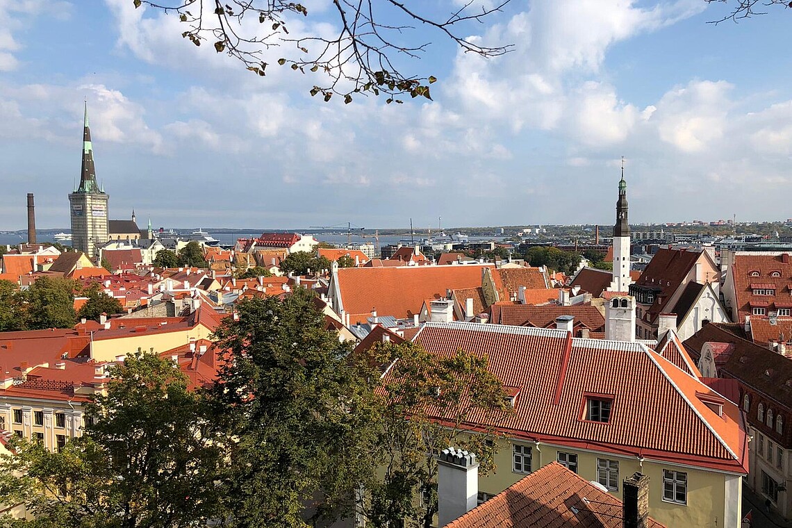 Blick über rote Dächer und Kirchturmspitzen von Tallinn