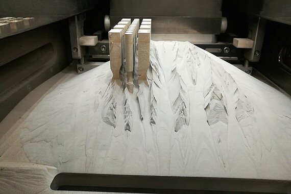 Zugproben-SLM 
                                Mittels SLM gedruckte Zugproben