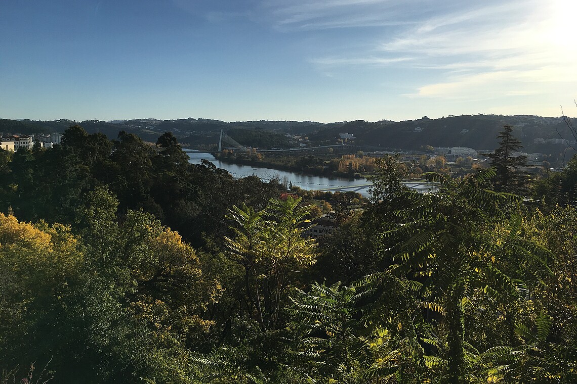 Blick vom Campus über botanischen Garten auf den Fluss