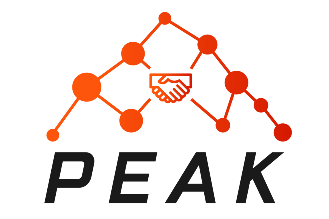 Logo des Projekts PEAK