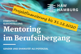 Mentoring im Berufsübergang 
                Teilprojekt 5 Mentoring im Berufsübergang